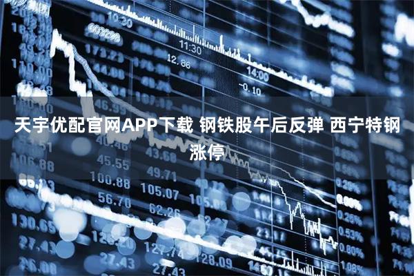 天宇优配官网APP下载 钢铁股午后反弹 西宁特钢涨停