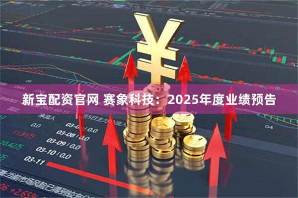 新宝配资官网 赛象科技：2025年度业绩预告