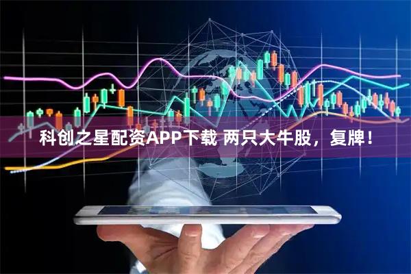 科创之星配资APP下载 两只大牛股，复牌！